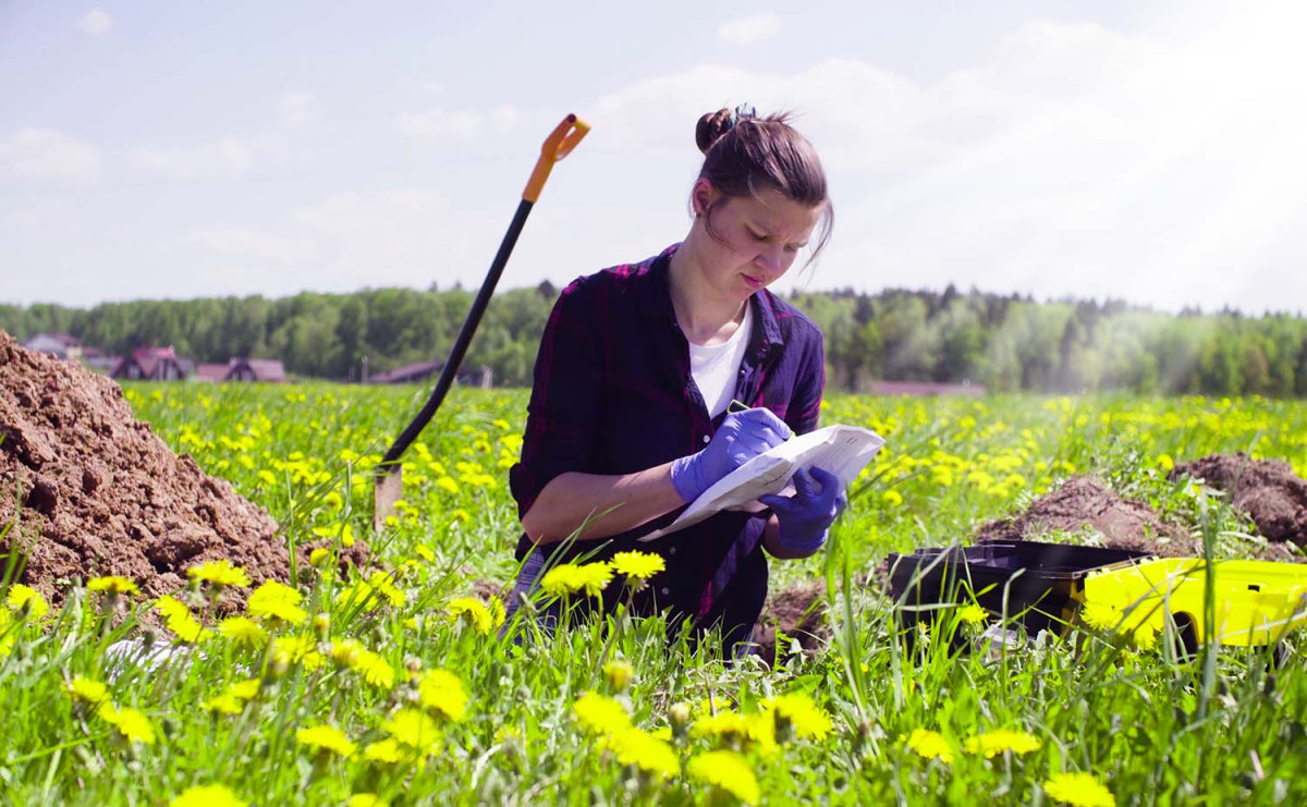 Lone worker in the field