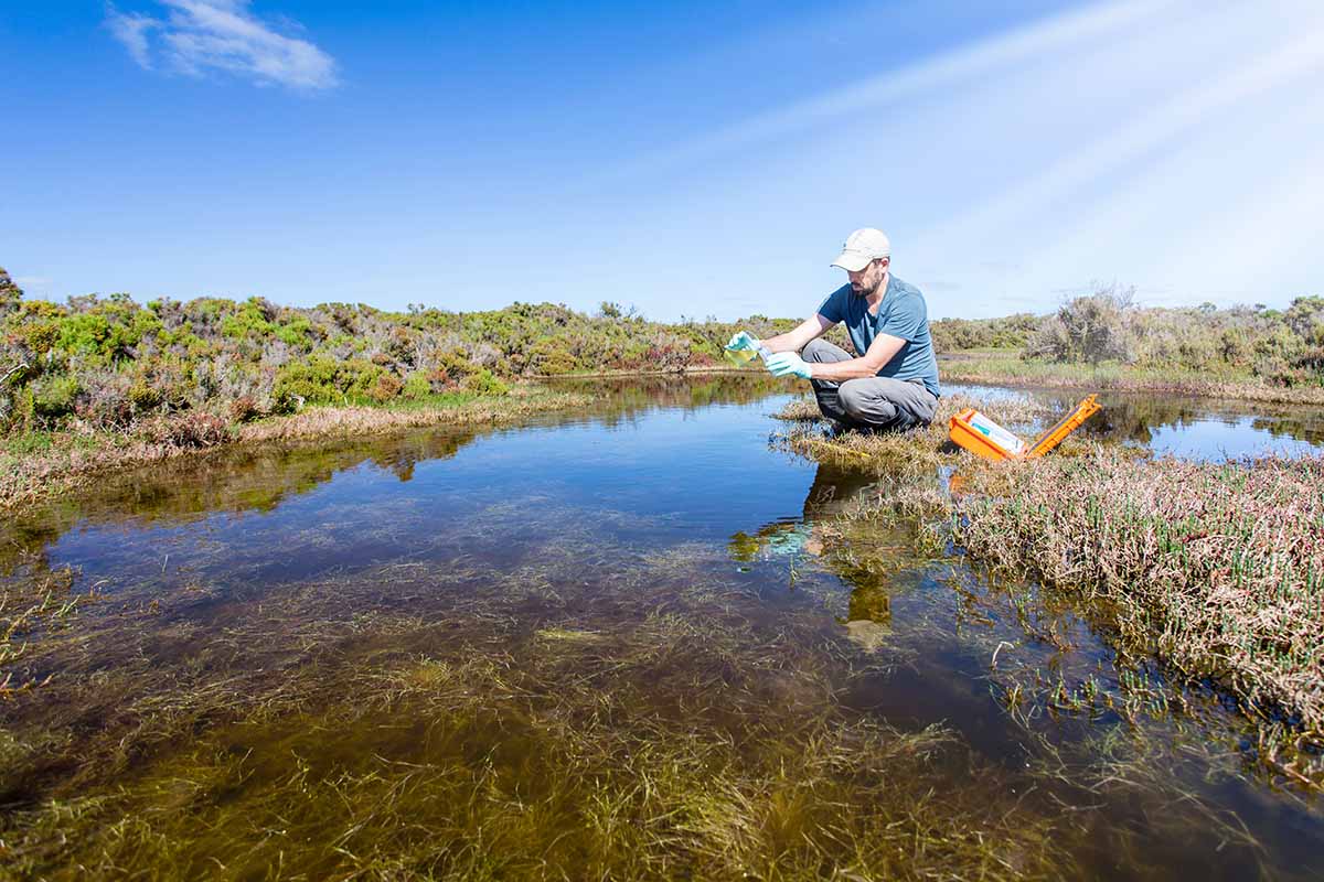 Environmental researcher