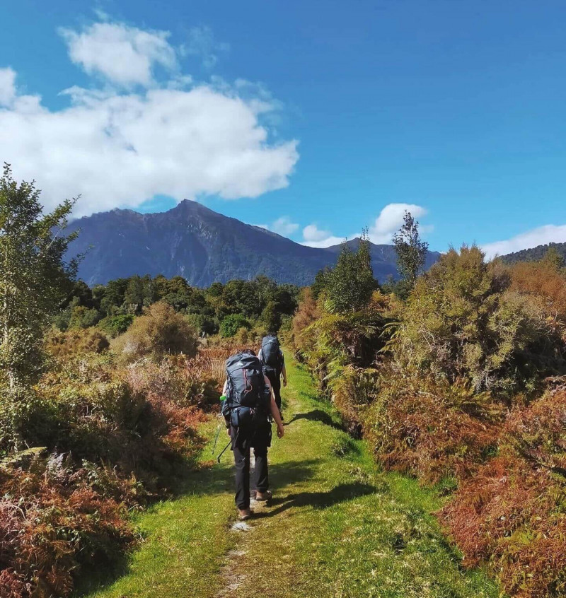 Two people walking a bush track