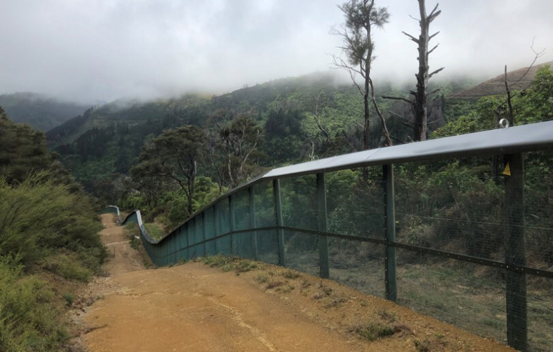 Brook Waimarama Sanctuary Image Fence line 01 v2