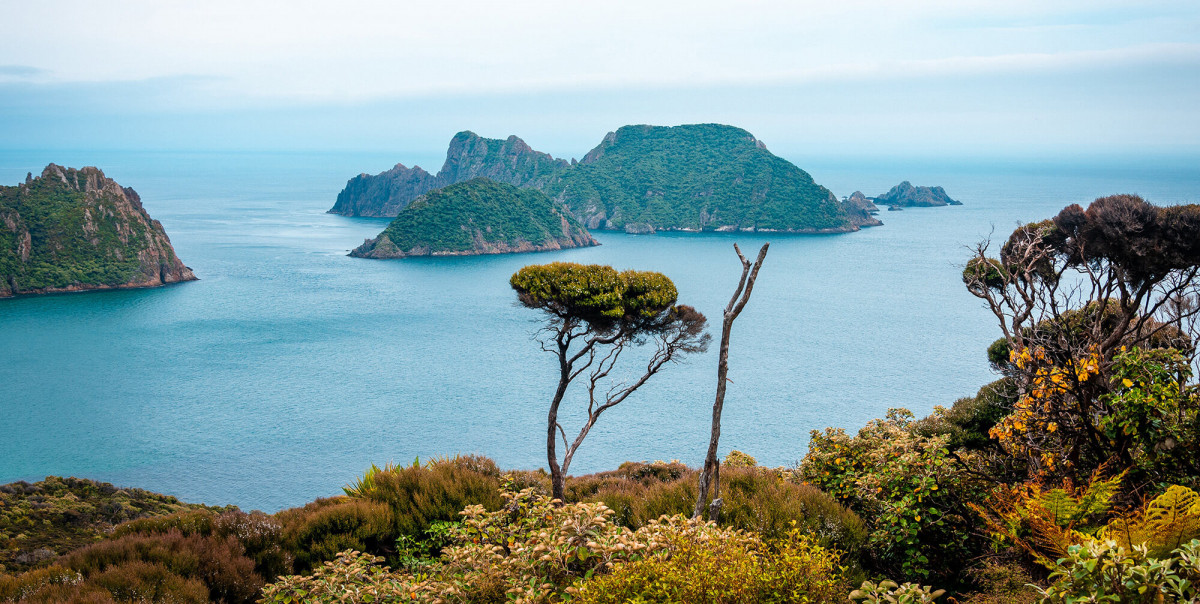 Stewart Island