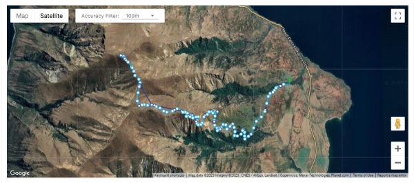 distance traveled on google maps