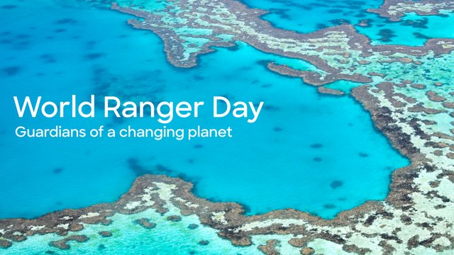 Remote Worker Safety: How Do Rangers and Field Teams Get Home Safe?